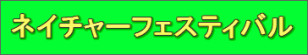 �l�C�`���[�t�F�X�e�B�o��